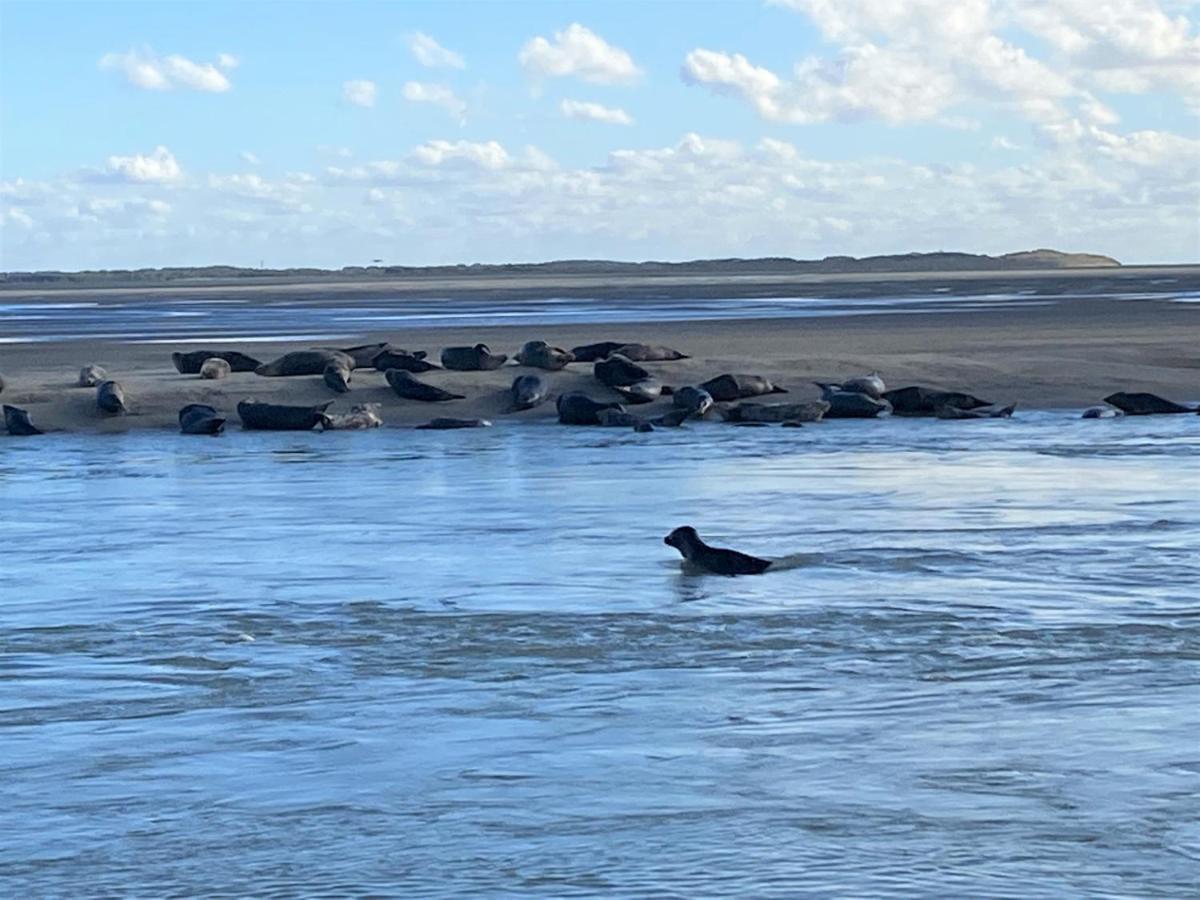 Cote Dune Le Crotoy Eksteriør billede