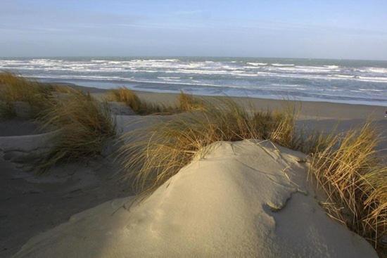 Cote Dune Le Crotoy Eksteriør billede